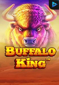 Buffalo-King